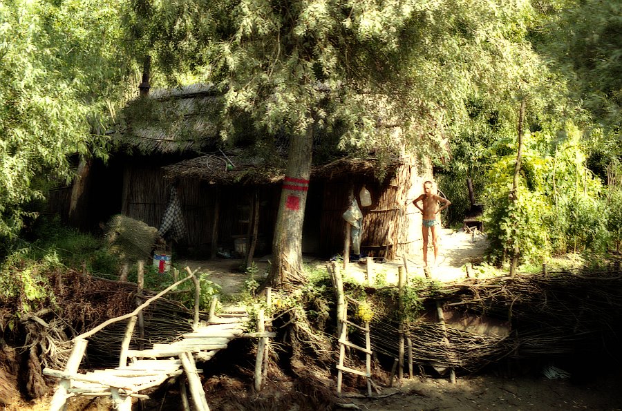 At the Danube Delta / Romania