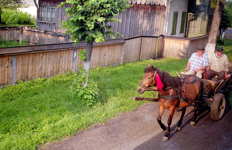 Pferdekutsche, Bukowina / Rumänien