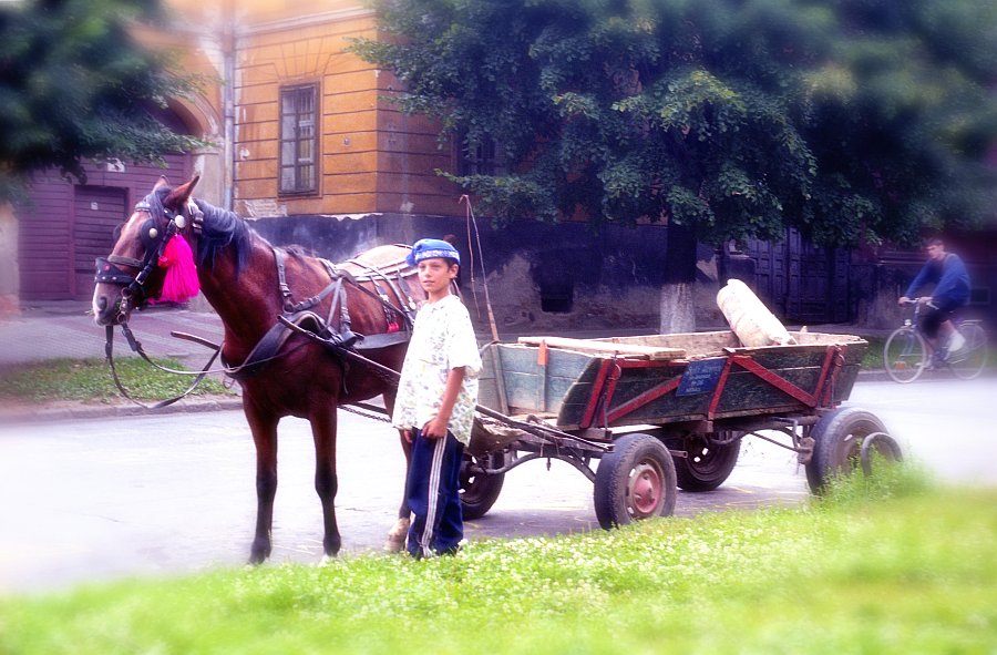Horse and carriage, Transylvania (Siebenbürgen) / Romania