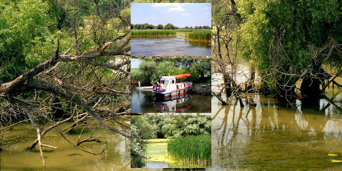 Danube Delta Impressions